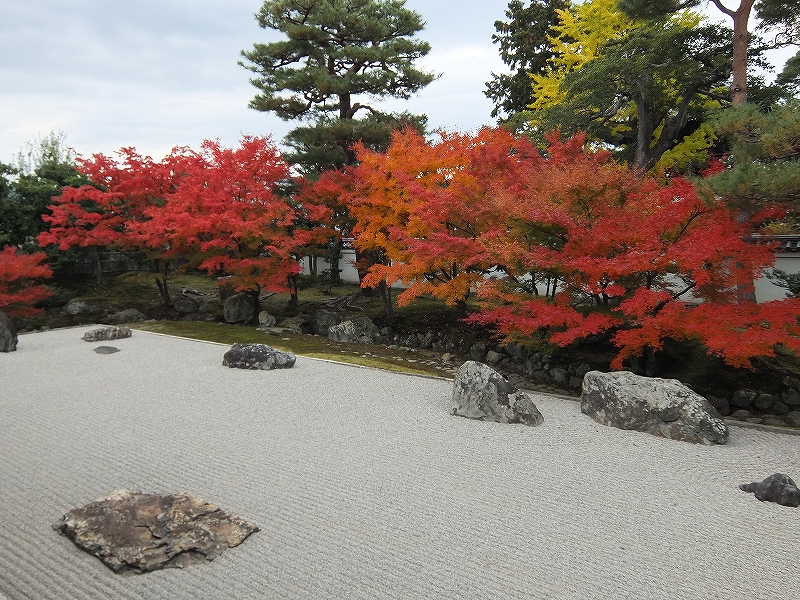 実は穴場 京都の紅葉スポット 相国寺 日本の風景